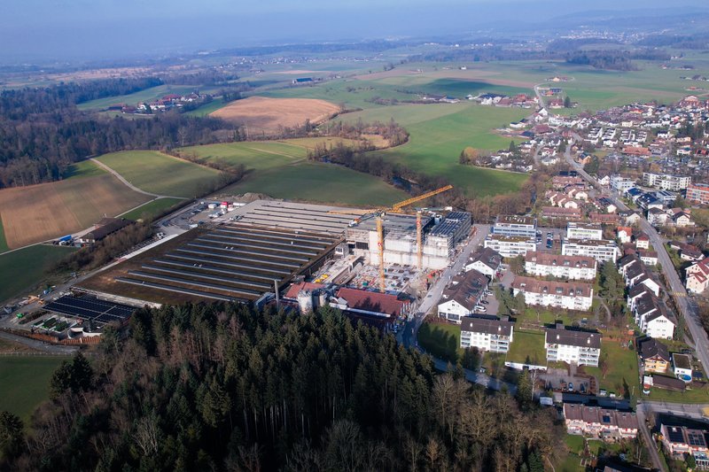 martina rieder - baumgartner fenster