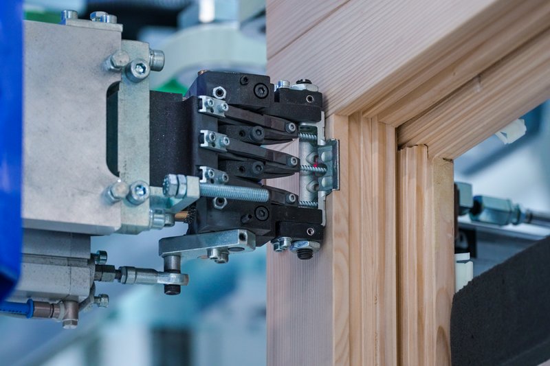 martina rieder - baumgartner fenster