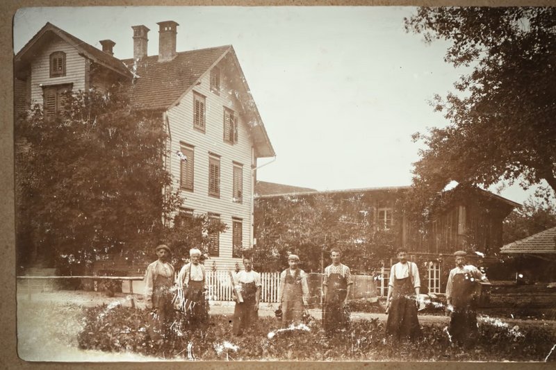 martina rieder - baumgartner fenster