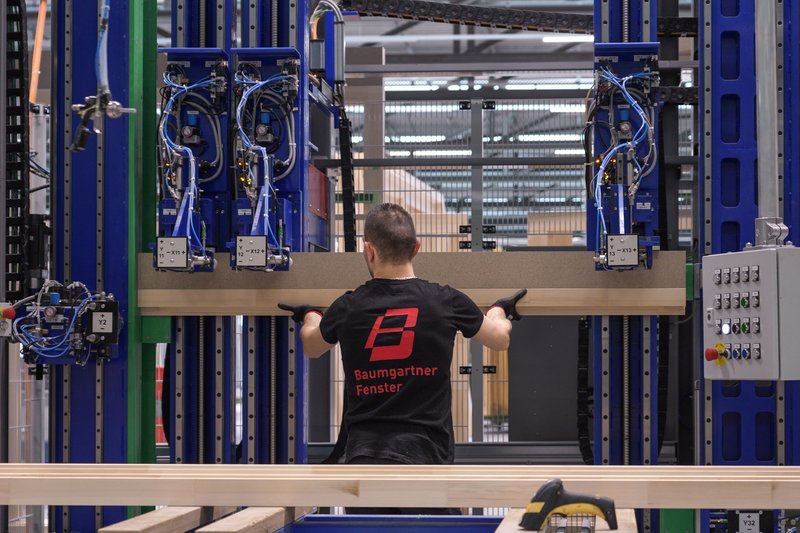 martina rieder - baumgartner fenster